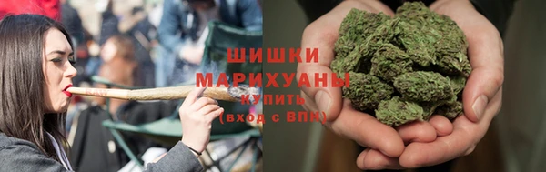 2c-b Горнозаводск