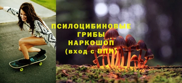 хмурый Новозыбков