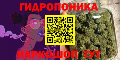 Альфа ПВП Волжск