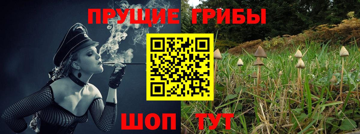 Гуково  как найти закладки  Вход с VPN  Псилоцибиновые грибы MAGIC MUSHROOMS 